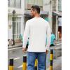 COOFANDY Men’s Crew Neck T-Shirt Long Sleeve Casual Pullover Tees Soft Stretch Basic Tee Shirts(A-white)