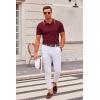 COOFANDY Mens Knit Polo Shirts Casual Short Sleeve Button Down Polo Shirt Classic Golf Shirts(E-wine Red White Striped)