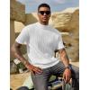 COOFANDY Men’s Mock Turtleneck Sweater Short Sleeve Casual Basic Tops Ribbed Knit Pullover Solid Tee(Pat5 White Striped)