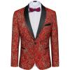 Red Paisley Pattern