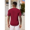 COOFANDY Men’s 3 Pack Henley Shirts Short Sleeve Casual Basic Tees Classic Henley Summer Solid T Shirts with Pocket(Wind Red)