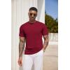 COOFANDY Men’s 3 Pack Henley Shirts Short Sleeve Casual Basic Tees Classic Henley Summer Solid T Shirts with Pocket(Wind Red)