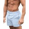 COOFANDY Men’s Swim Trunks Quick Dry Board Shorts Swimsuit Swimwear Bathing Suit(P Blue Stripe)