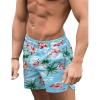COOFANDY Men’s Swim Trunks Quick Dry Board Shorts Swimsuit Swimwear Bathing Suit(Palm Tree Flamingo)