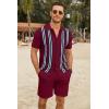 COOFANDY Men’s 2 Piece Outfit Vintage Short Sleeve Button Down Knit Polo Shirts Casual Beach Shorts Sets(Wine Red)