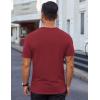 COOFANDY Men’s Cotton T-Shirt Short Sleeve Crew Neck Tee Shirts Casual Solid Basic Tops(Wine Red)
