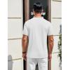 COOFANDY Men’s Henley Shirts Cotton Short Sleeve Casual T-Shirt Button Henley Basic Tee Lightweight Summer Top(All White)