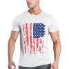 American Flag White