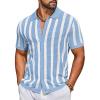 Light Blue & White