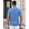 COOFANDY Mens Henley Shirts Short Sleeve Casual Stylish Tshirt Lightweight Summer Basic Tee Tops(Sky Blue)