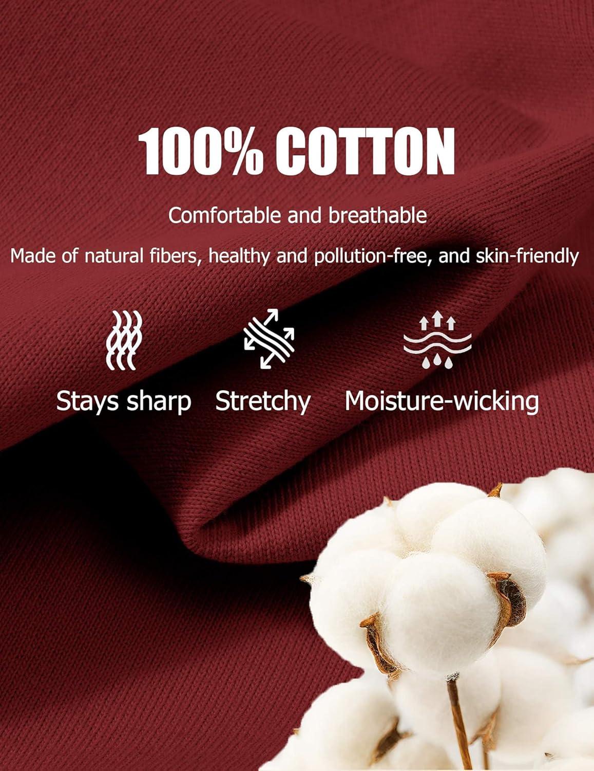 imageCOOFANDY Mens T Shirts 100 Cotton V Neck Tee Shirt Plain Short Sleeve Casual ShirtsWine Red