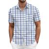 Blue White-plaid