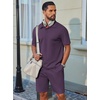 COOFANDY Men’s 2 Piece Outfits Casual Cotton Short Sleeve Polo Shirts and Shorts Sets Loose Fit Summer Athletic Track Suits(Purple)