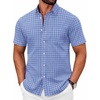 Blue Plaid