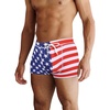P Pattern12 - American Flag