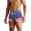 Pattern4 - American Flag