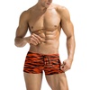 1 - Striped Orange