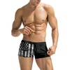 American Flag(black)