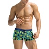 Green Monstera