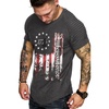 Independence Day Series-grey