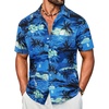 G - Green Blue & Sunset Palm Tree