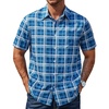 01-deep Blue White Plaid