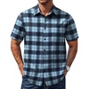 Blue Black Check