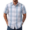 White Blue Plaid