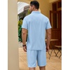 COOFANDY Men’s 2 Pieces Outfits Quarter Zip Polo Shirt and Shorts Set Casual Summer Tracksuit(Light Blue)