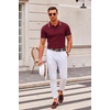 COOFANDY Mens Knit Polo Shirts Casual Short Sleeve Button Down Polo Shirt | Knit polo, soft, breathable, stretch, 3-button placket, elastic ribbed cuffs and hem, casual, business, classic, stylish(E-wine Red White Striped)