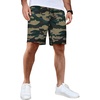 Camouflage 2