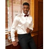 COOFANDY Mens Silk Satin Dress Shirts Long Sleeve Shiny Button Down Shirt(Beige)