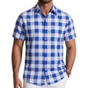 Navy White Check