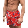 P American Flag-4
