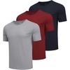 COOFANDY Men’s Workout T-Shirts 3 Pack Quick Dry Athletic T-Shirts(Z-true Grey/Midnight Blue/Deep Red-3 Pack)