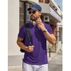 COOFANDY Men’s T Shirt Short Sleeve Casual T-Shirts Crew Neck Basic Tee Shirts(Purple)
