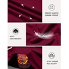 COOFANDY Mens Long Sleeve Tee Shirts Stretch Crew Neck Tee Shirts Casual T Shirts for Men(Wine Red)